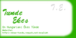 tunde ekes business card