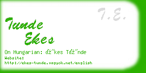 tunde ekes business card